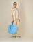 The shopping bag