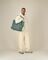 The shopping bag